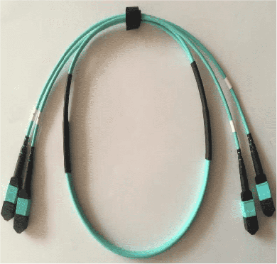 Trunk Cable MPO/MTP