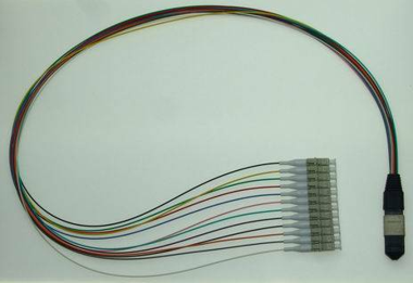 MPO-LC/UPC-12C